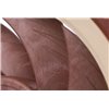 SILENT PACK - sostituzione ventole cabinet con 3 x Noctua