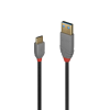 Cavo Lindy USB 2.0 Tipo C / A Antracite 3m