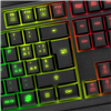 Tastiera Sharkoon SGK5 Skiller RGB con poggiapolsi removibile Full-Size USB LED Nero IT