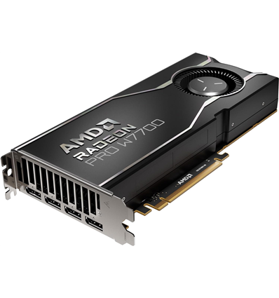 Scheda Video AMD RADEON PRO W7700 16GB (100-300000006)